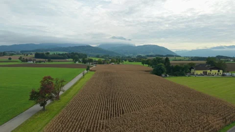 Aerial view of farm fields and mountains in Laakirchen, Upper Austria Stock Footage 331470202