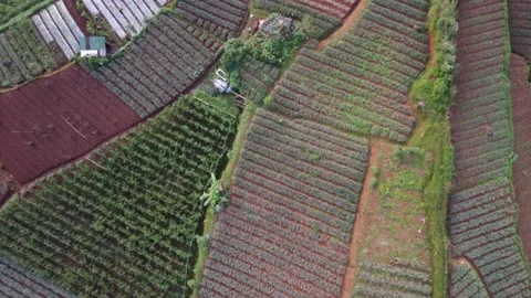 Aerial view of farm fields Stock Footage 197396587