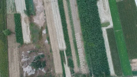 Aerial view - farm Stock Footage 104586239