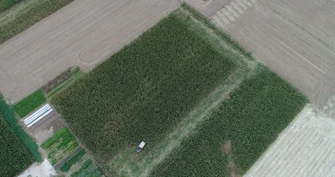 Aerial view - farm Stock Footage 125455944