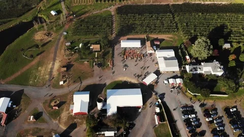 An aerial view of a farm Stock Footage 130992275