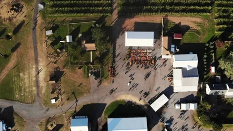 An aerial view of a farm Stock Footage 130993427