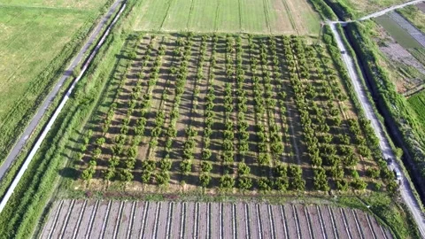 Aerial view of a farm Stock Footage 135816352