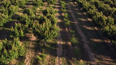 Aerial view of a farm Stock Footage 135896478