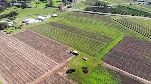 Aerial View of a Farm Stock Footage 140781812