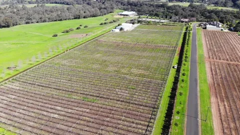 Aerial View of a Farm Stock Footage 140781863
