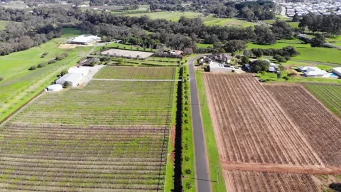 Aerial View of a Farm Stock Footage 140782198