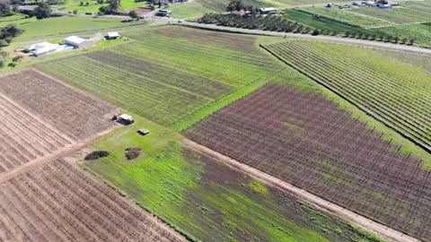 Aerial View of a Farm Stock-Footage 140782946