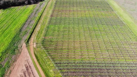 Aerial View of a Farm Stock Footage 140793751