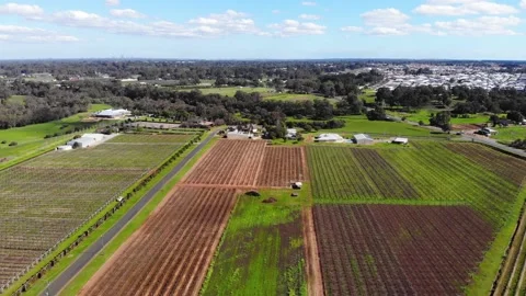 Aerial View of a Farm Stock Footage 140794289