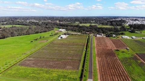 Aerial View of a Farm Stock Footage 140794624