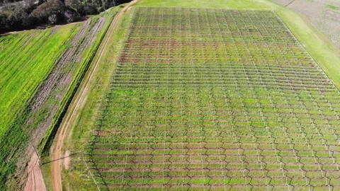 Aerial View of a Farm Stock Footage 140796928