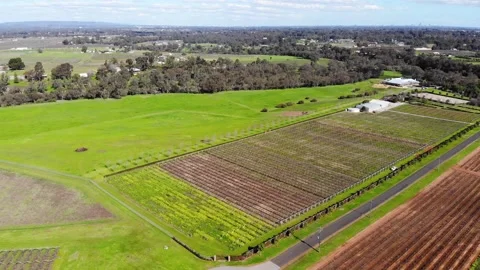 Aerial View of a Farm Stock Footage 140828662