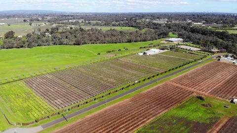 Aerial View of a Farm Stock Footage 140828741