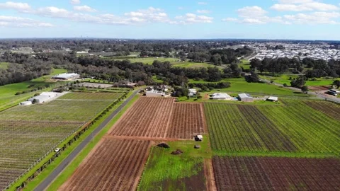 Aerial View of a Farm Stock Footage 140828752