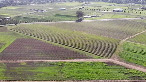 Aerial View of a Farm Stock Footage 140891721