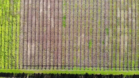 Aerial View of a Farm Stock Footage 140891834
