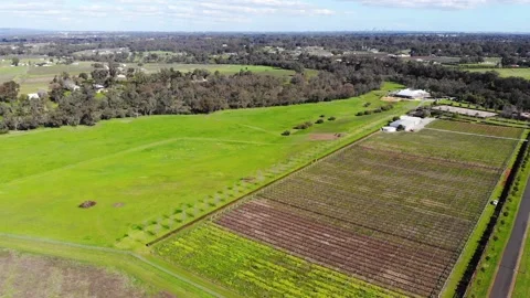 Aerial View of a Farm Stock Footage 140891852