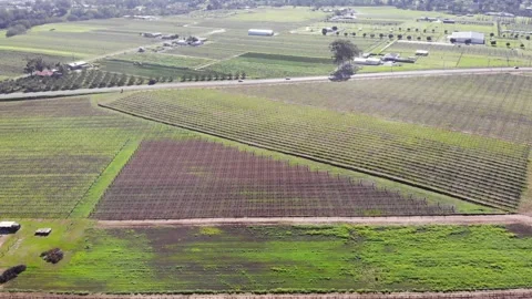 Aerial View of a Farm Stock Footage 140891880