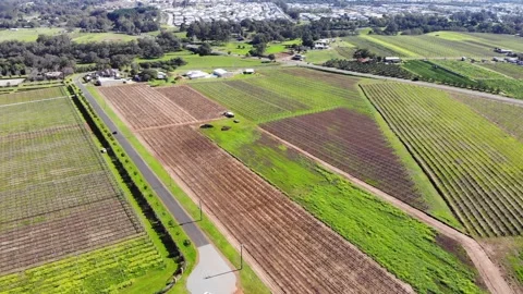 Aerial View of a Farm Stock Footage 140893516