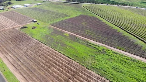 Aerial View of a Farm Stock-Footage 140893535