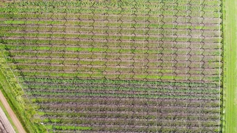 Aerial View of a Farm Stock Footage 140893633