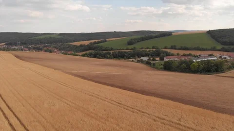 Aerial view of farm surrounded by fields Video stock 95325653