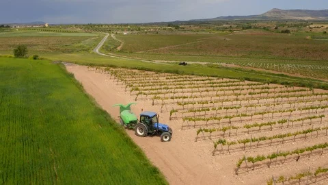 Aerial view farm tractor work in vineyard Stock Footage 130018577