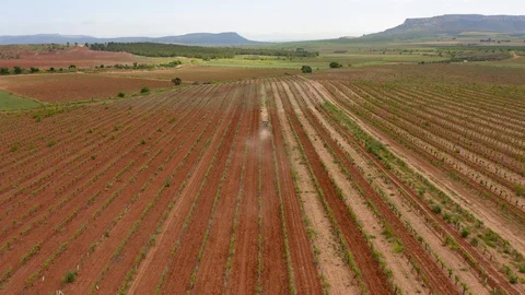 Aerial view farm tractor work in vineyard Stock Footage 130018594