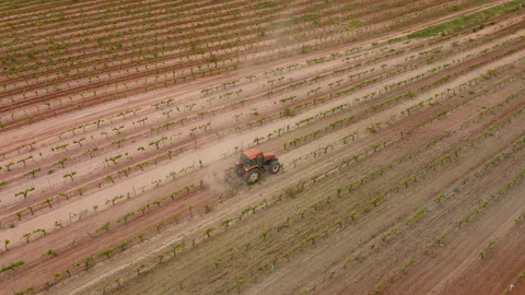 Aerial view farm tractor work in vineyard Stock Footage 130018604