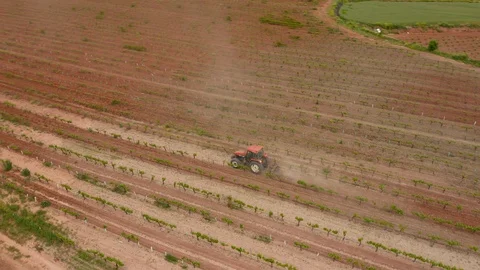 Aerial view farm tractor work in vineyard Stock Footage 130018664