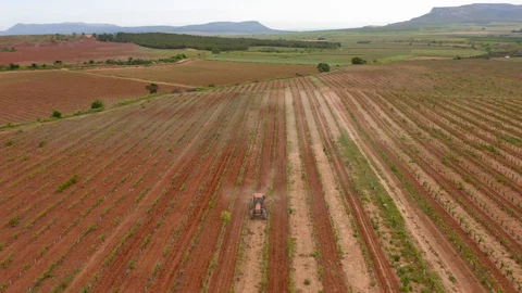 Aerial view farm tractor work in vineyard Stock Footage 130018725