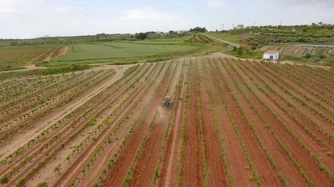 Aerial view farm tractor work in vineyard Stock Footage 130018786