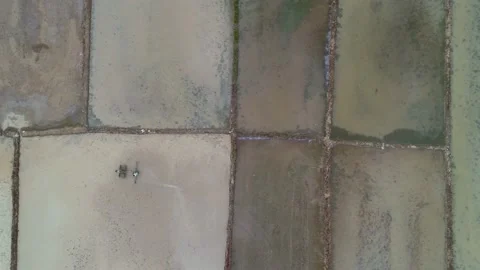 Aerial view of farmer operating his machine working on agricultural land Video stock 135408863