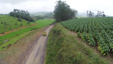 Aerial view of farmer tractor 02 Stock Footage 151249937