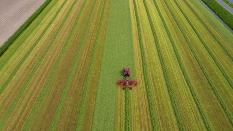 Aerial view on Farmer with Tractor sorting cut grass in Zuidschermer Netherlands Video stock 280296734