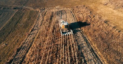 Aerial view of farmer using tractor, harvesting combine and tools to harvest Stock Footage 100971026