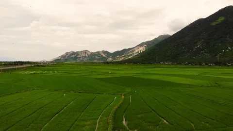 Aerial view of a farmer working on the green field Phu Yen Vietnam Stock Footage 103430133
