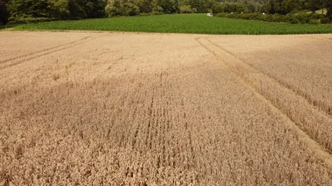Aerial view of farming land in the summer Stock Footage