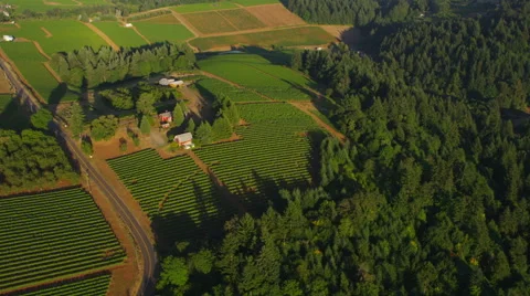 Aerial view of farmland Video stock 62344530