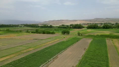 Aerial View of Farmland Stock Footage 274530494