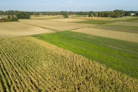 Aerial view of farmland showcasing a patchwork of crops in various shades of Stock Photos