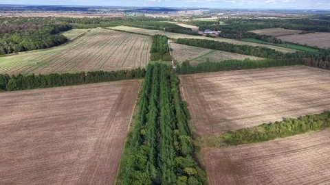 Aerial View Of Farmland With Tree-Lined Hedgerow Stock Footage 345519743
