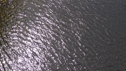 Aerial View of Fast Moving Stream Stock Footage 95494392