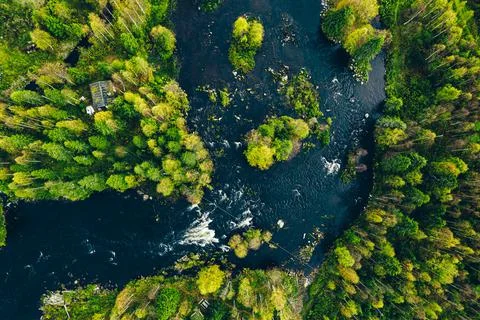 Aerial view of fast river in beautiful green spring forest in Finland. Stock Photos