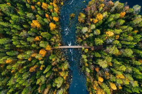 Aerial view of fast river flow through the rocks and colorful forest. Autumn  Stock Photos