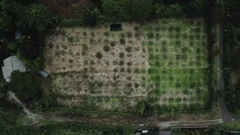 Aerial view of field 2 Video stock 291721639