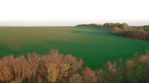 Aerial view for the field and forest Stockbeeldmateriaal 50011315