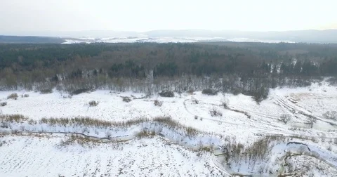 Aerial view. field and Pine forest covered in snow Stock Footage 81113844