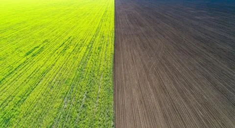 Aerial view field with and without harvest Stock Photos